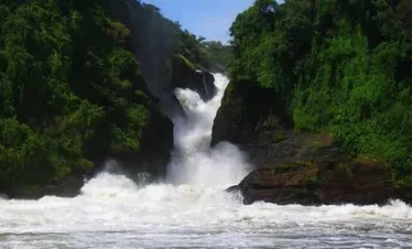 12 days Gorilla Chimpanzee and Wildlife tour