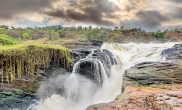 6 Days Murchison falls National Park Safari