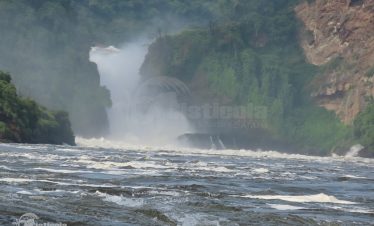 Murchison falls