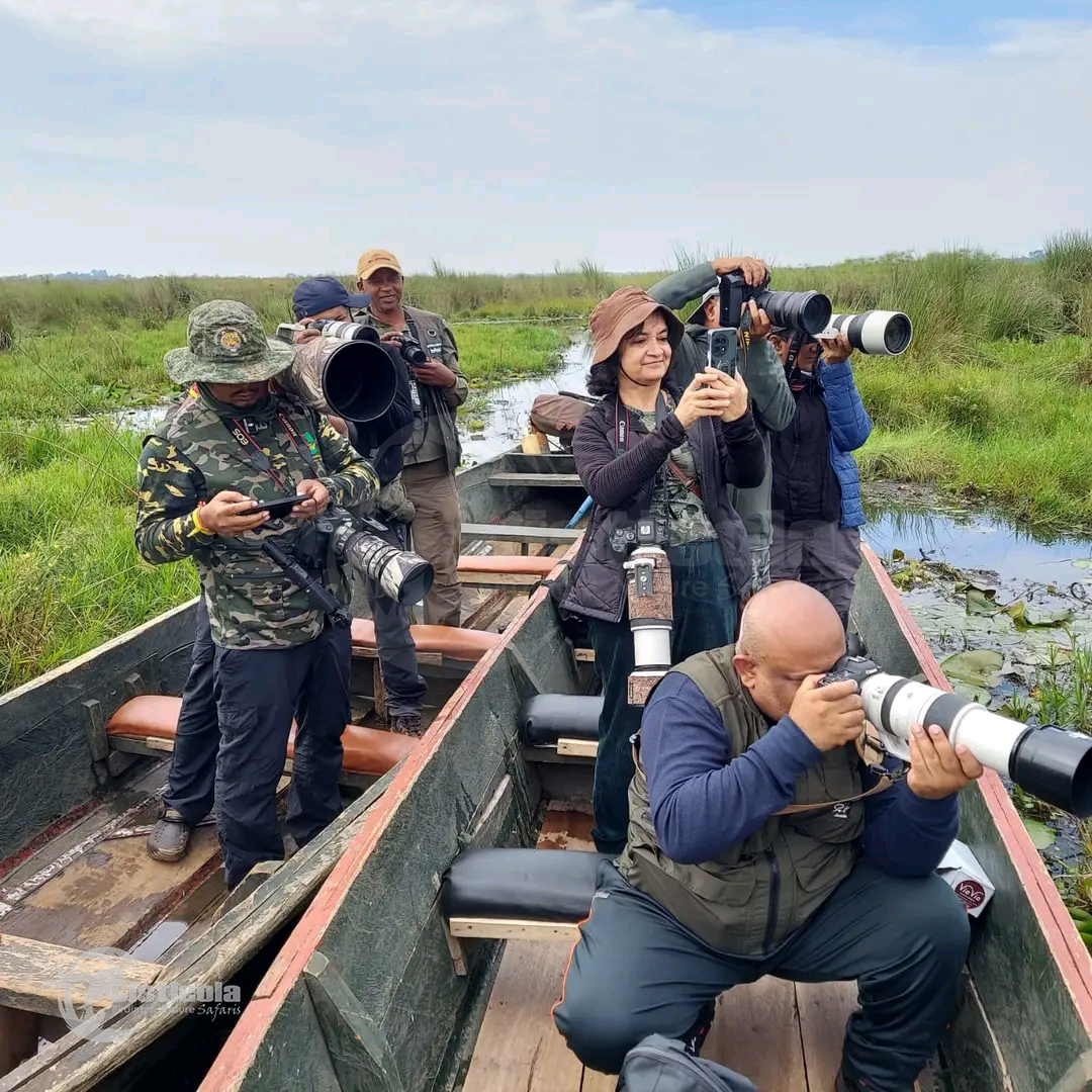 safari activities in Uganda